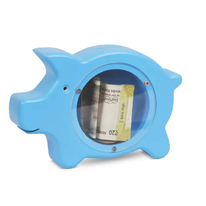 Piggy Money Bank – Color