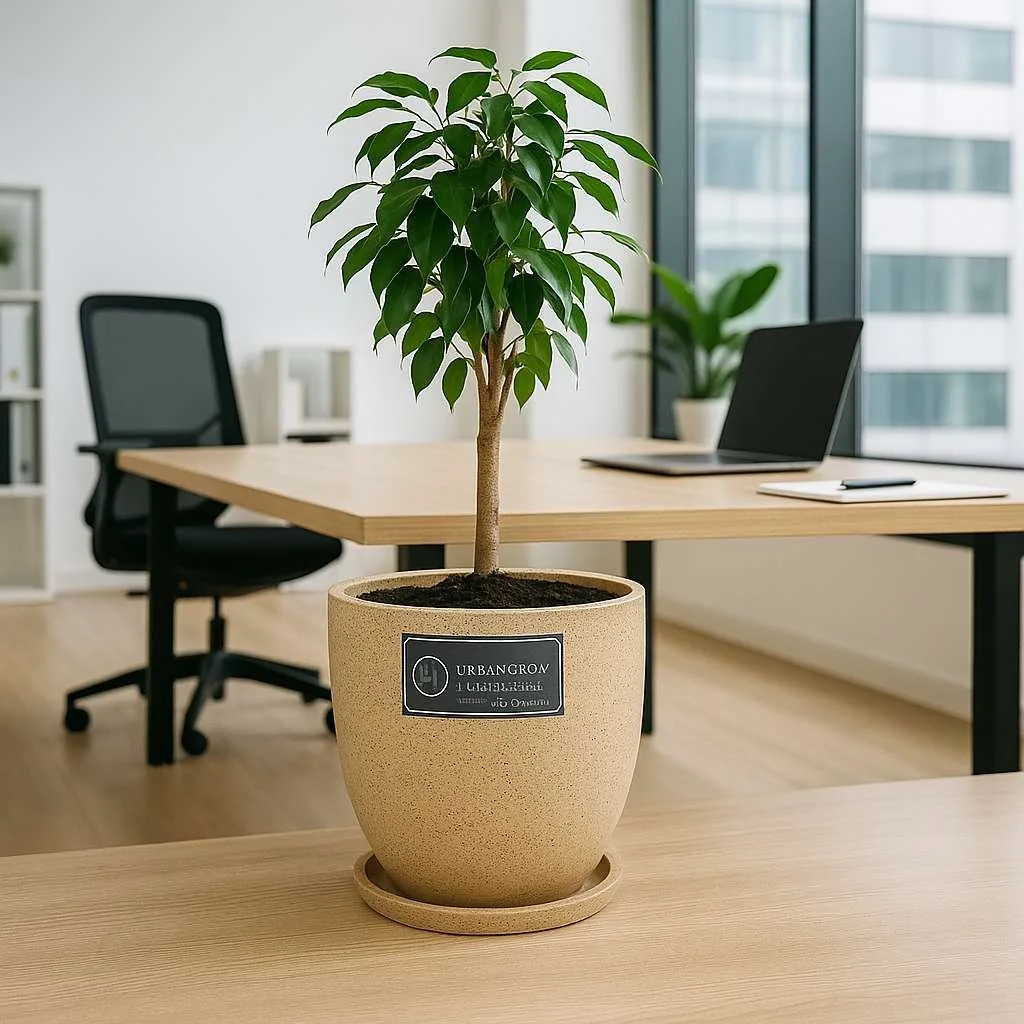 Aroma Pots by Grow Green Planters