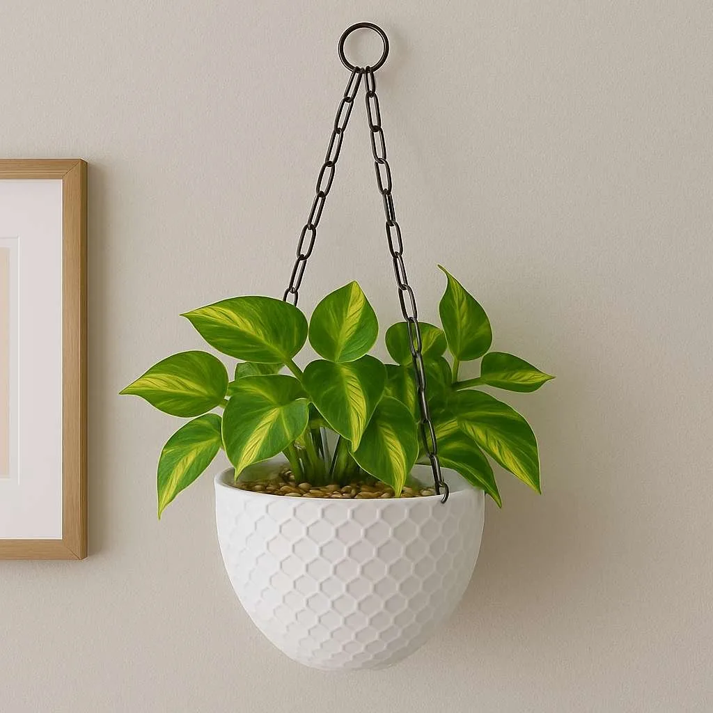 Cerana Basket by Grow Green Planters