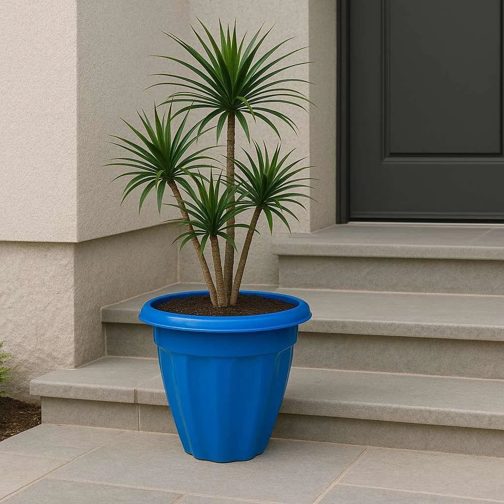 Jasmine Pots by Grow Green Planters