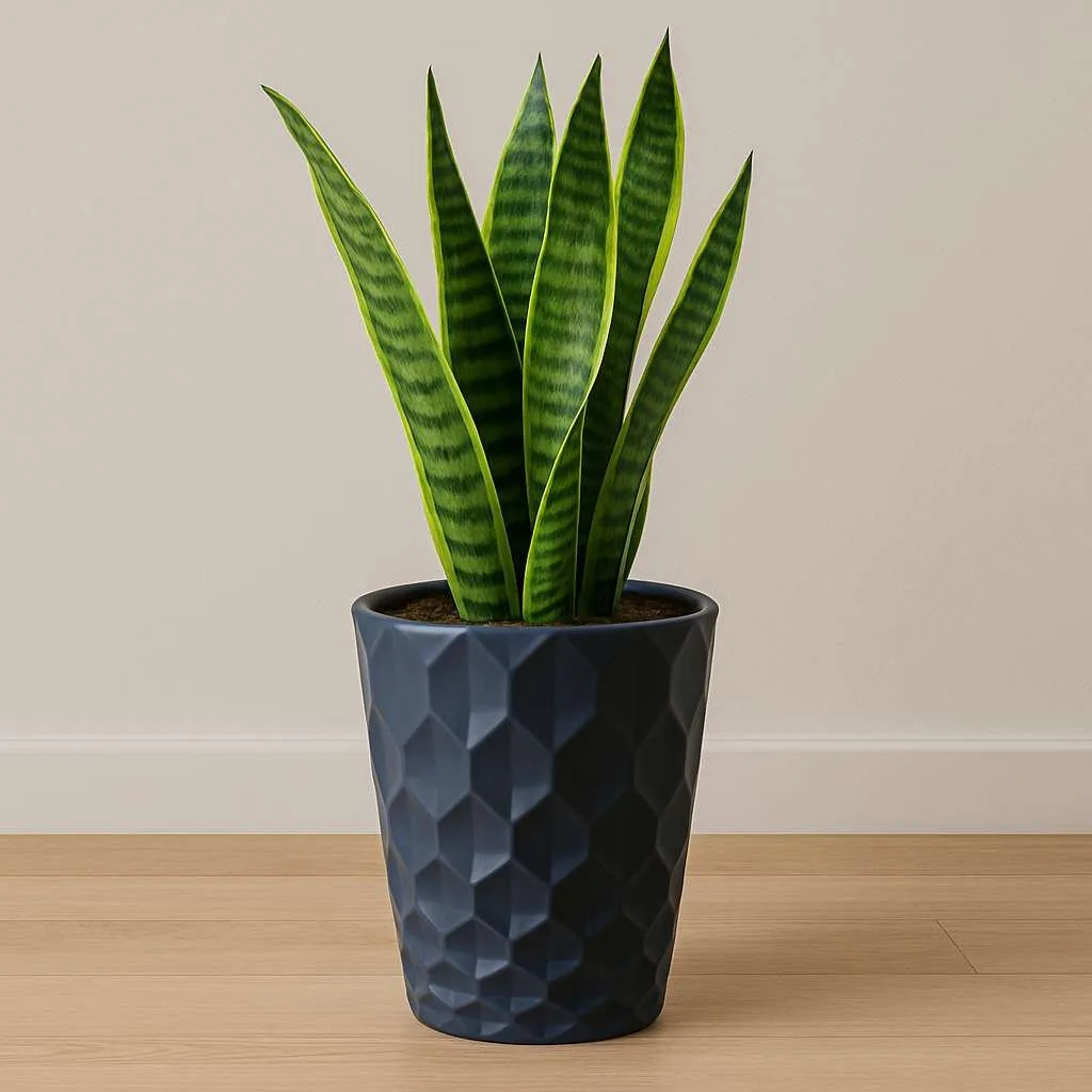Royal Pots by Grow Green Planters
