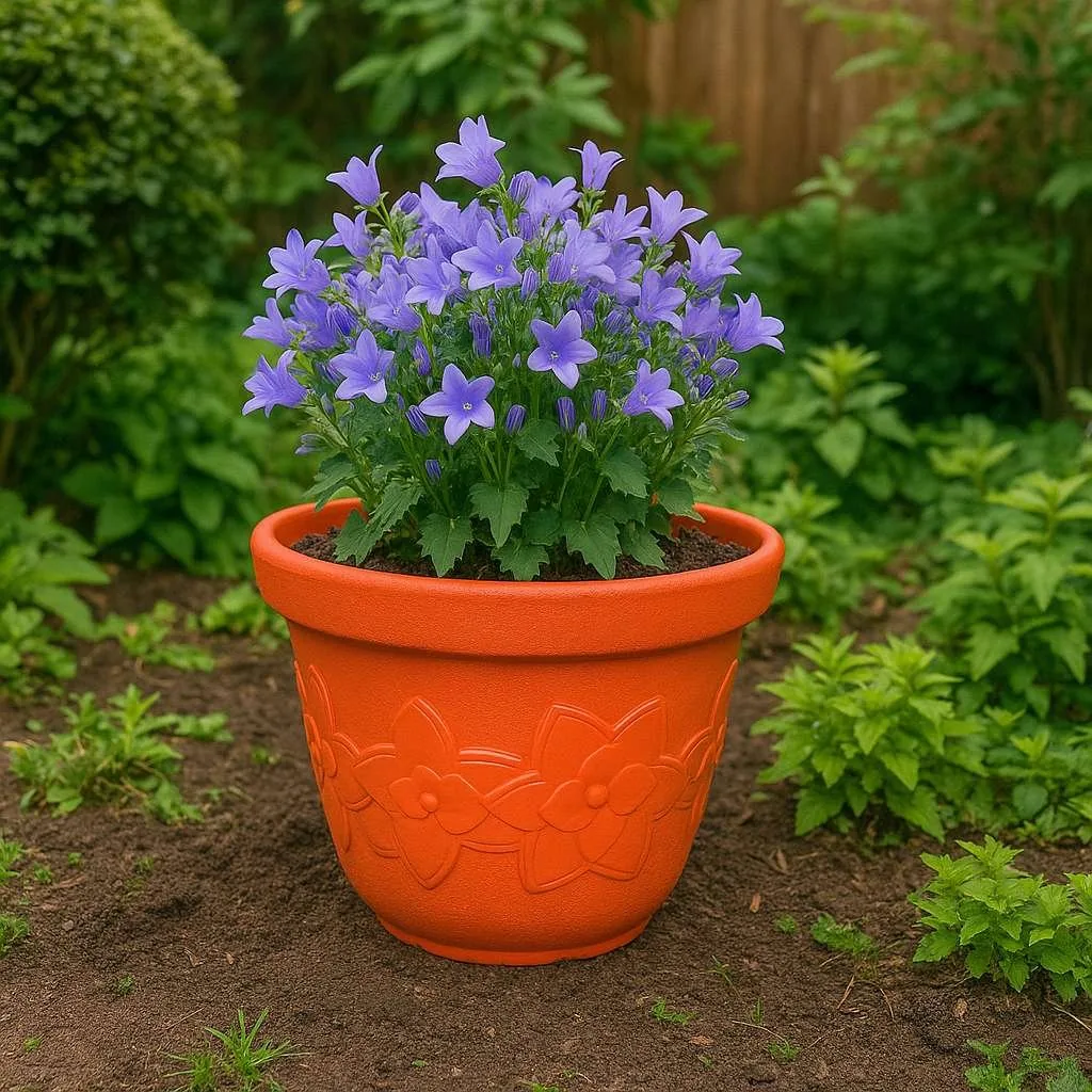 Sunflower Pots by Grow Green Planters