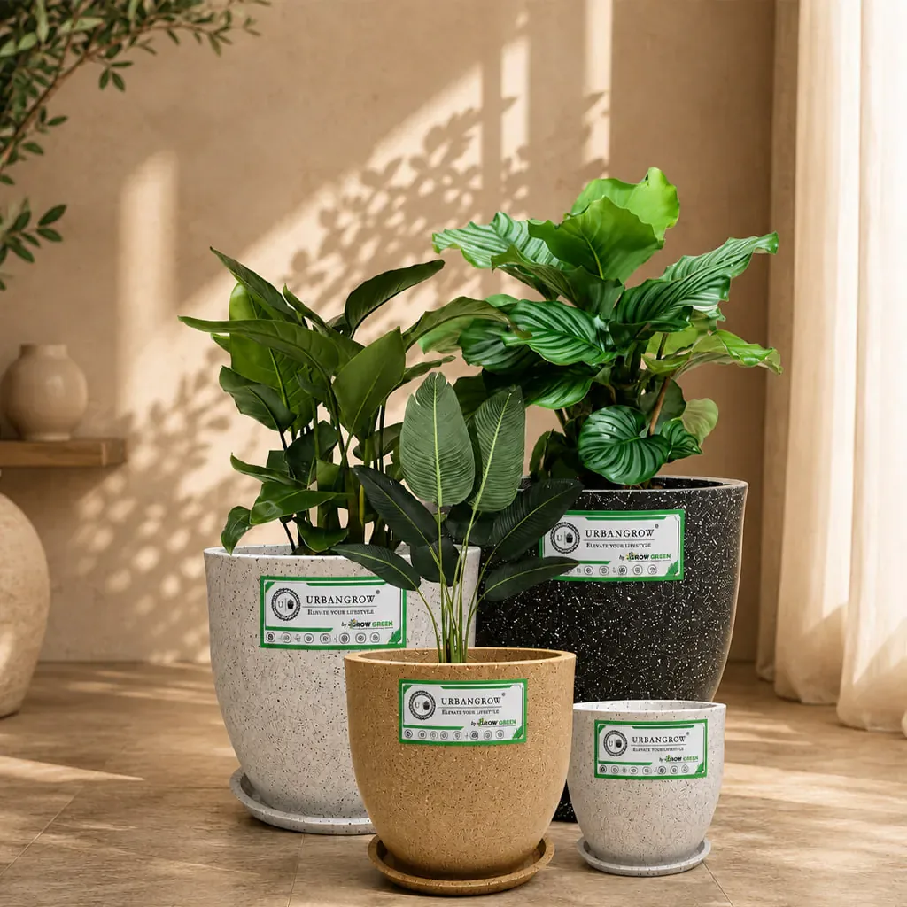 Aroma Pots planter by Urban Grow Planters