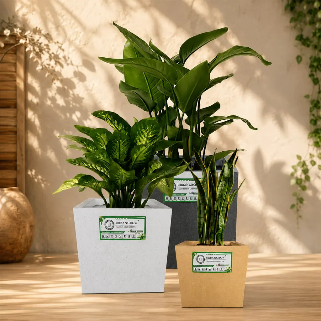 Cubicis Pots planter by Urban Grow Planters