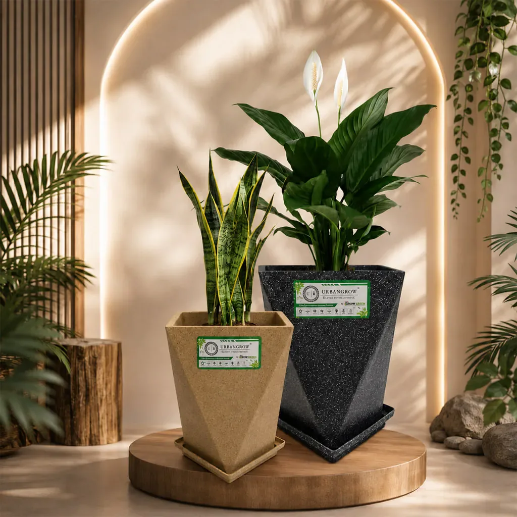 Dura Pots planter by Urban Grow Planters