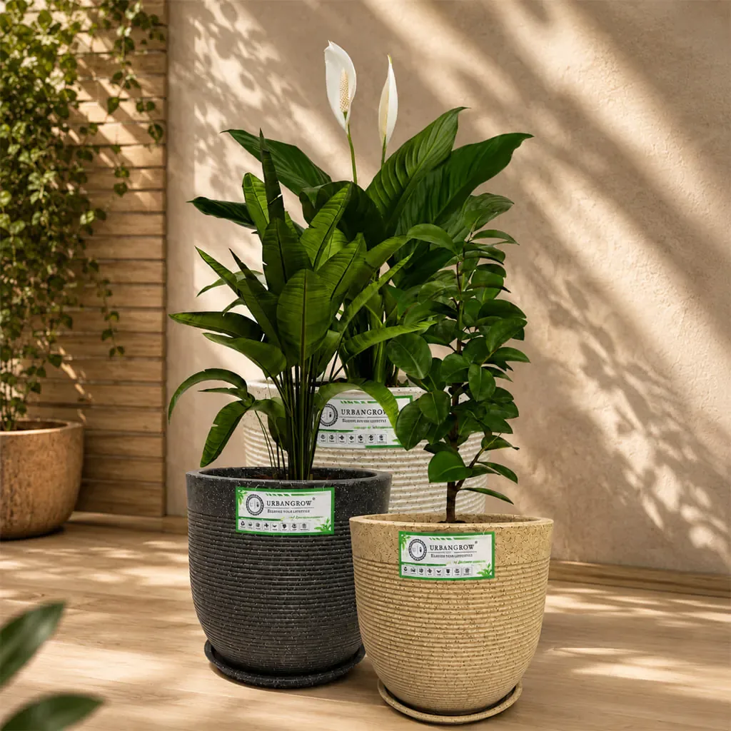 Orbit Pot planter by Urban Grow Planters