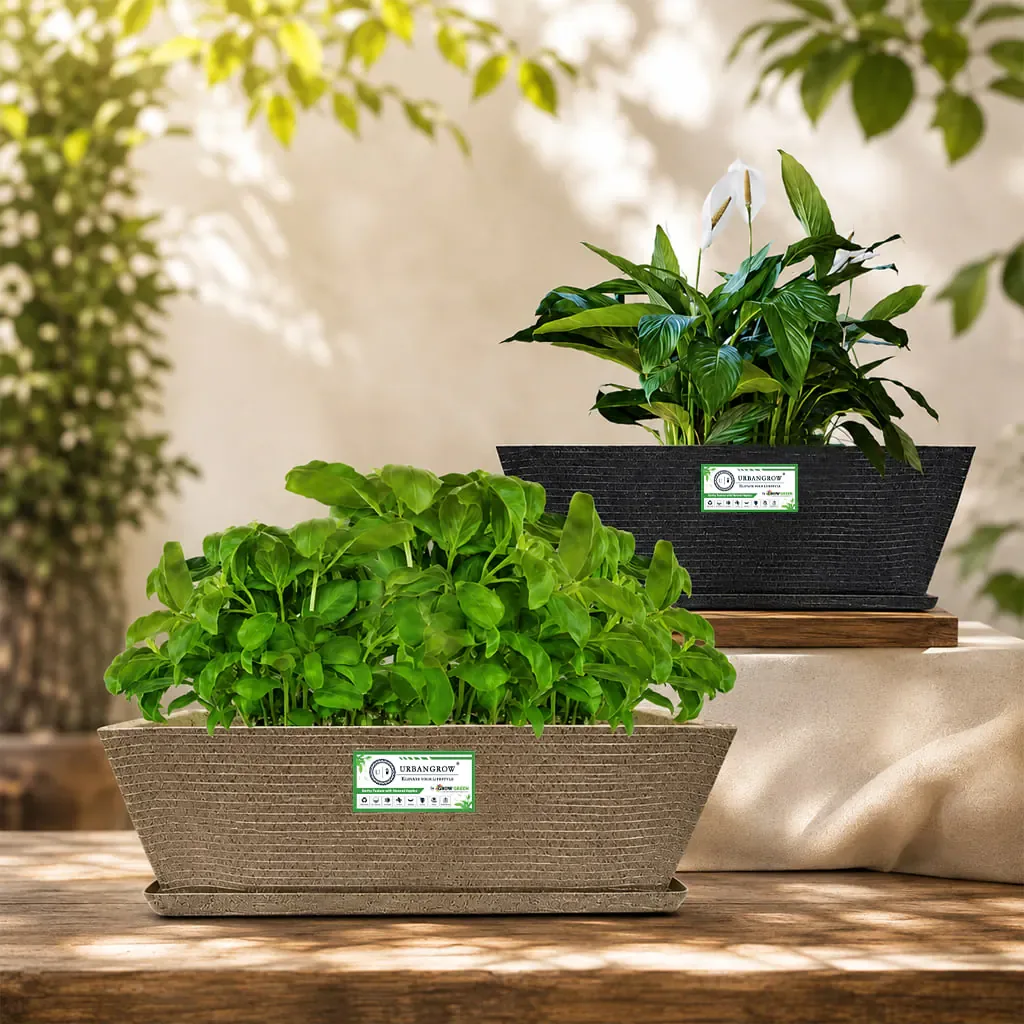 Recta Pots planter by Urban Grow Planters