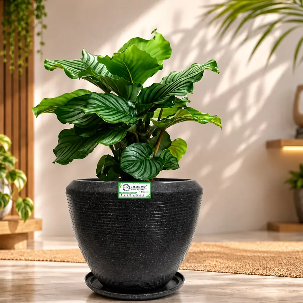 Terrano Pots planter by Urban Grow Planters